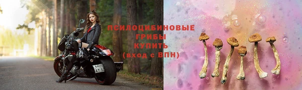 таблы Богородицк
