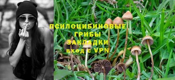 таблы Богородицк