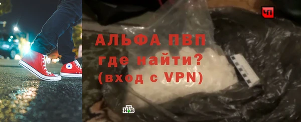 гашиш Богданович