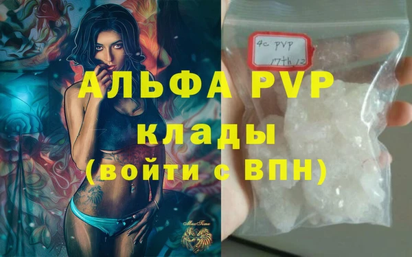 гашиш Богданович