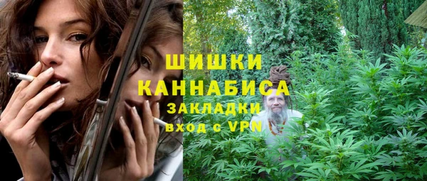 ешки Бронницы