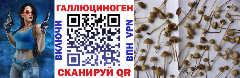 Галлюциногенные грибы MAGIC MUSHROOMS  Купино 